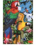 Puzzle Jumbo - Pretty Parrots, 1000 piese (18330)