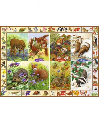 Puzzle Jumbo - Sarah Adams : Seasonal Wildlife, 1000 piese (11200)