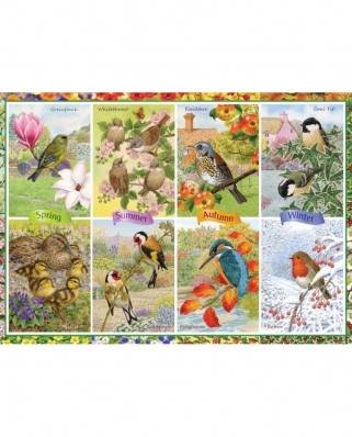 Puzzle Jumbo - Seasonal Garden Birds, 1000 piese (11157)