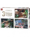 Puzzle King - Animals Collection, 3x1000 piese (05206)