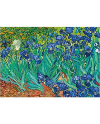 Puzzle Dino - Vincent Van Gogh: Irises, 1000 piese (62940)