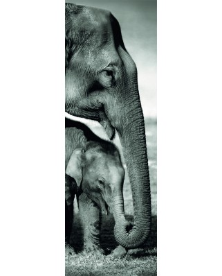 Puzzle panoramic Dino - Elephants, 1000 piese (62984)